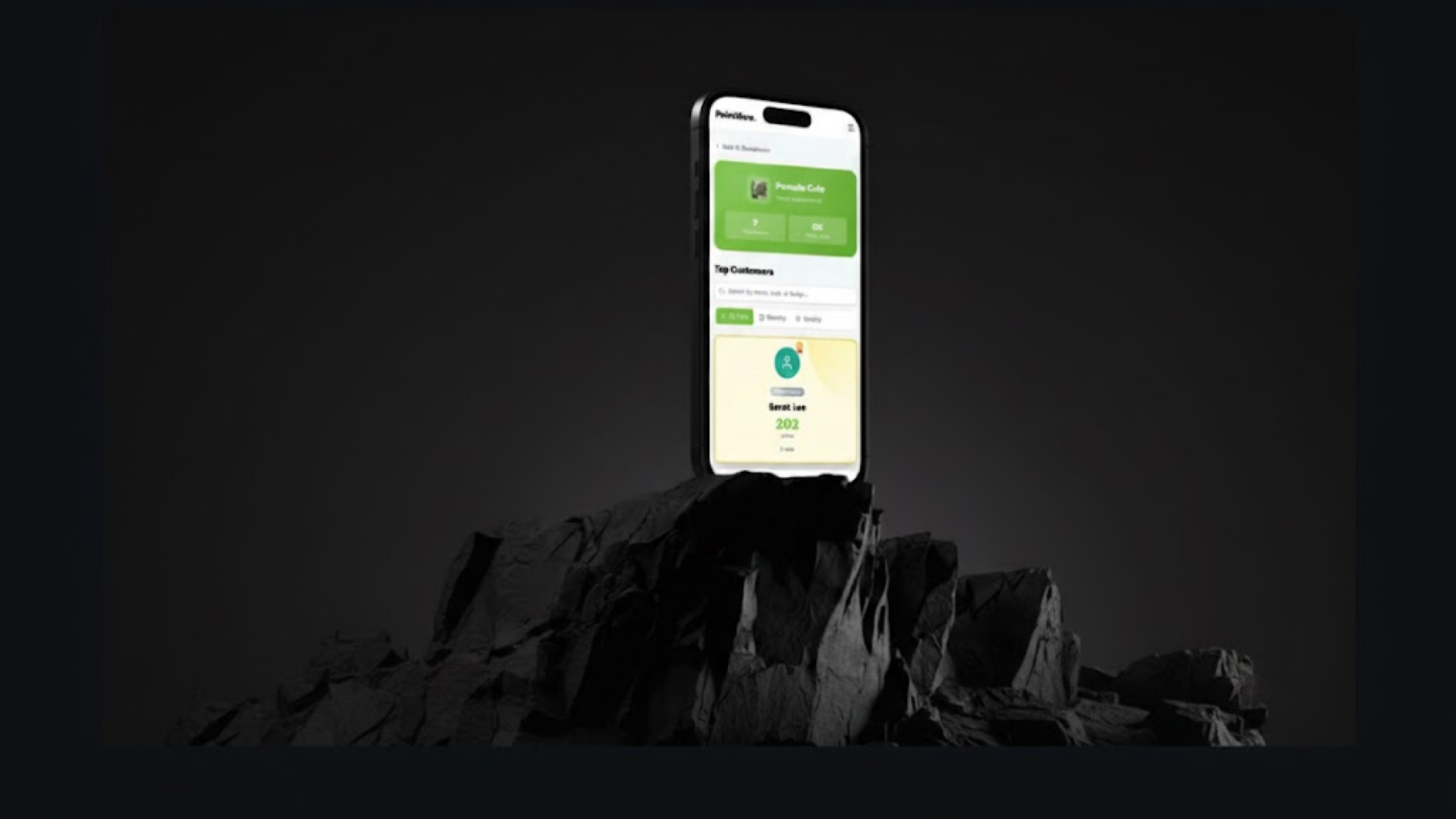 PointNow project screenshot